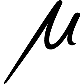 SCHORER + WOLF Logo